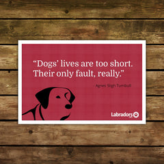 Dog Quote Cards - Set of 5