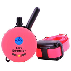 Lady Educator 1/2 Mile Remote Trainer