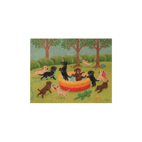 Summer Fun Labradors