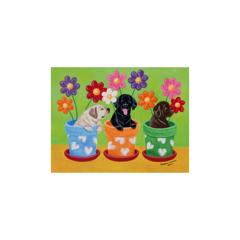 Flower Pot Labrador Puppies