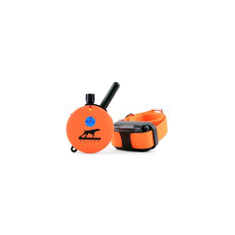 1 Mile Upland Hunting Dog Trainer