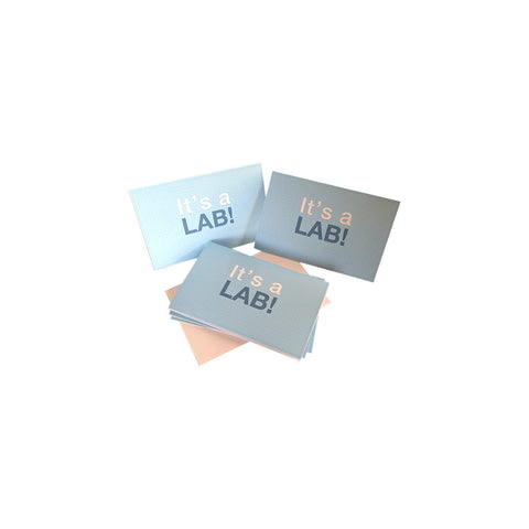 "It's a Lab" Announcements - Boys!