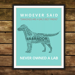 "Diamonds and Labs" Poster